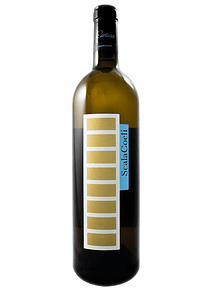 Scala Coeli Encruzado 2016