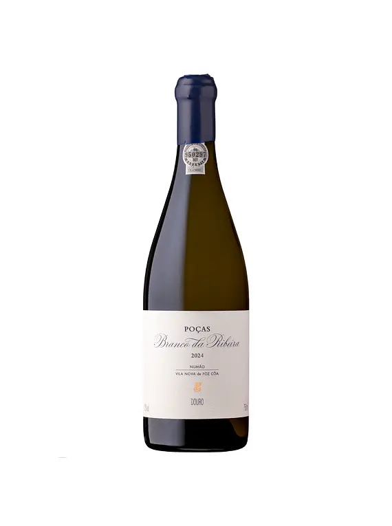 Poças Branco da Ribeira 2024 (73,33€ / Litro)