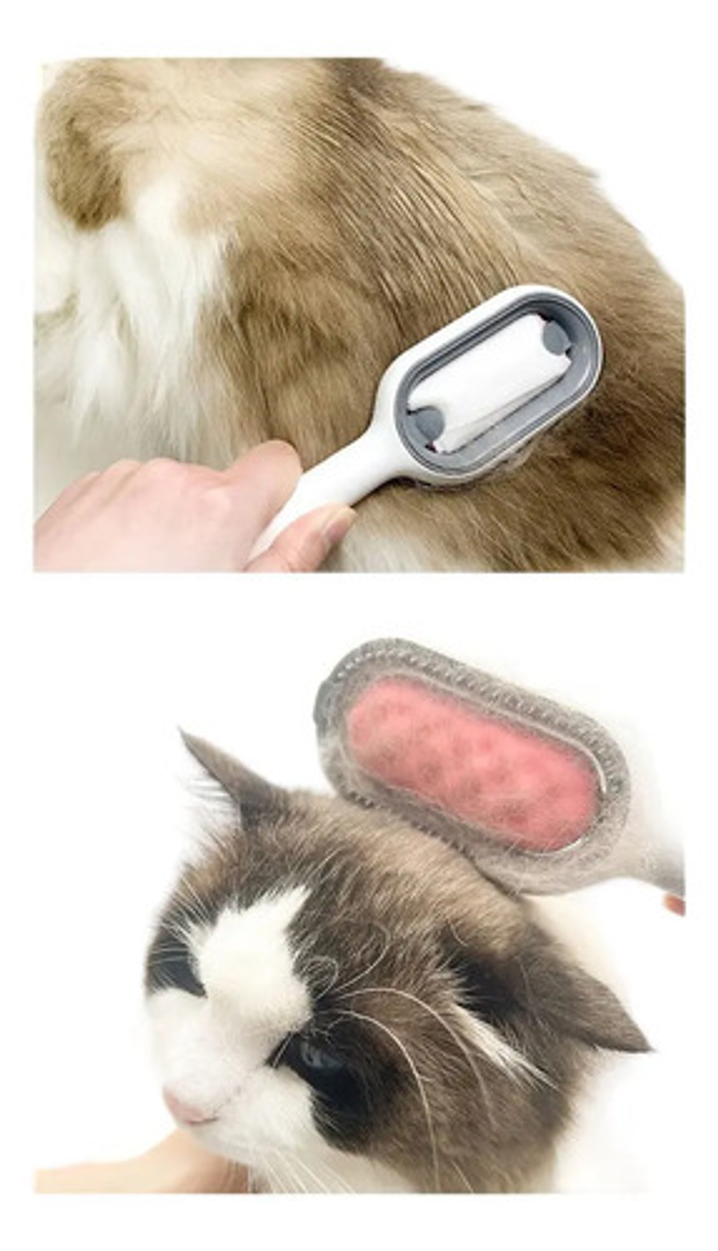 Cepillo Quitapelos Mascotas Elo Imports Blue Cat Dog Scraper Siliconado Azul 4