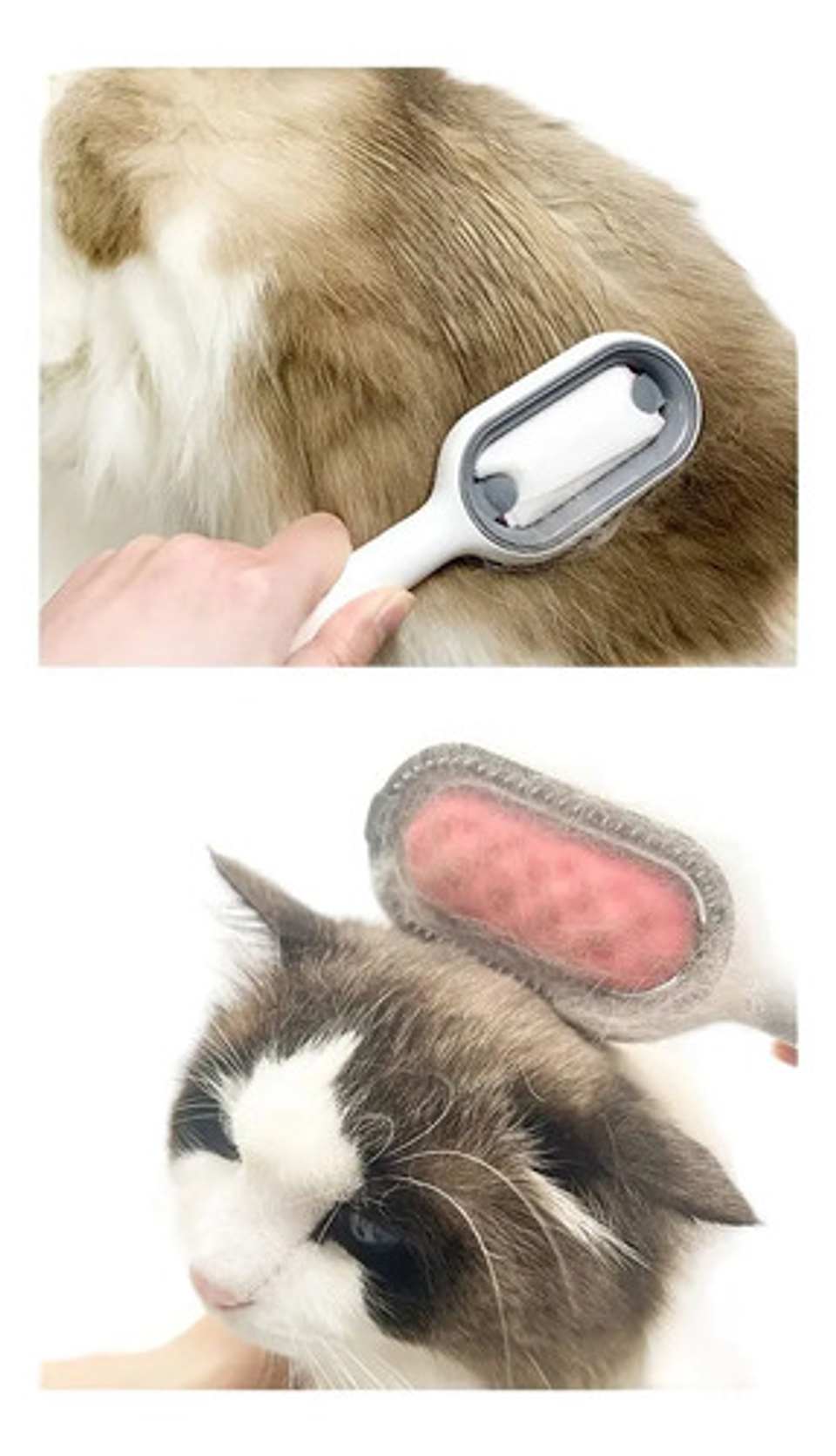 Cepillo Quitapelos Mascotas Elo Imports Blue Cat Dog Scraper Siliconado Azul 4