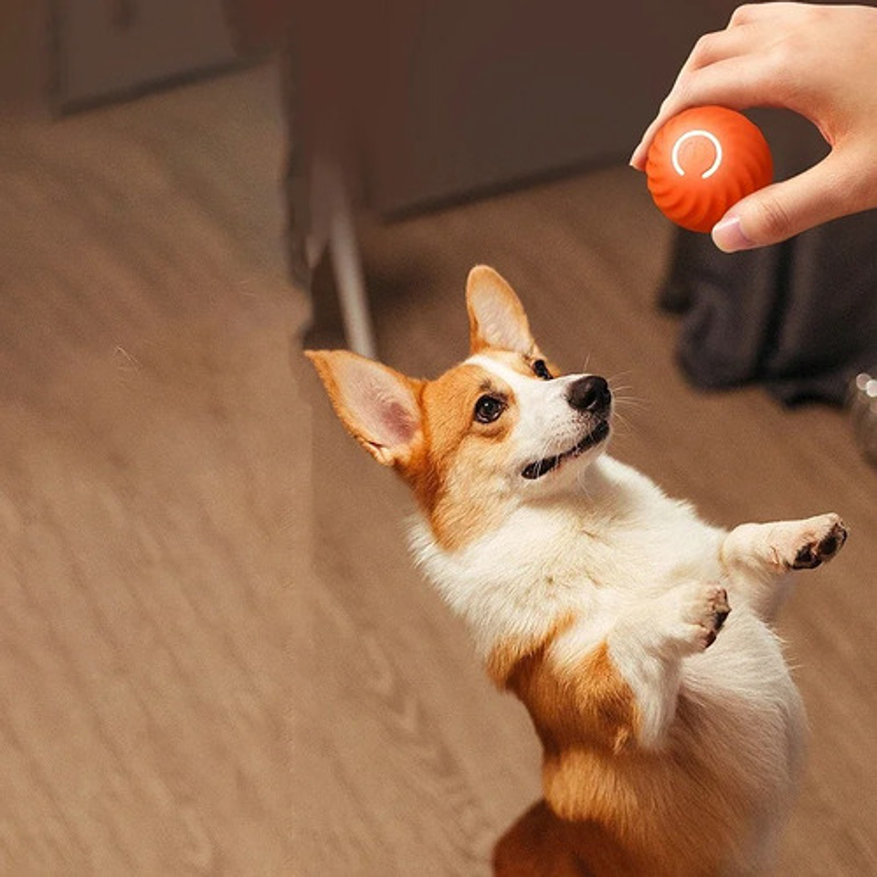 Juguete Interactivo Para Perros Q Smart, Luz Led, Pelota 20