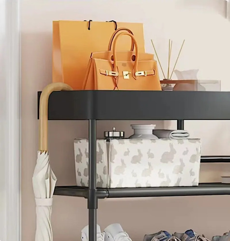 X2 Organizador 5capas Multifuncional Para Zapatos Y Bolsa 2