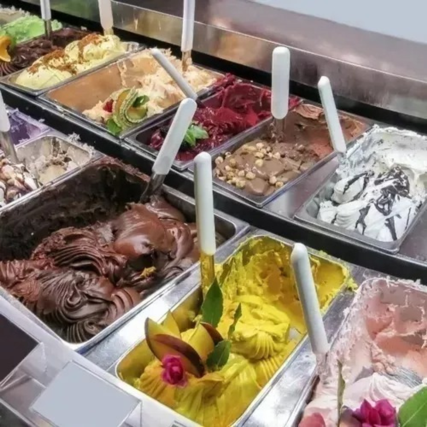 Contenedor Cambro Deposito Gastronómico Con Tapa 32x26cm 1/2 4