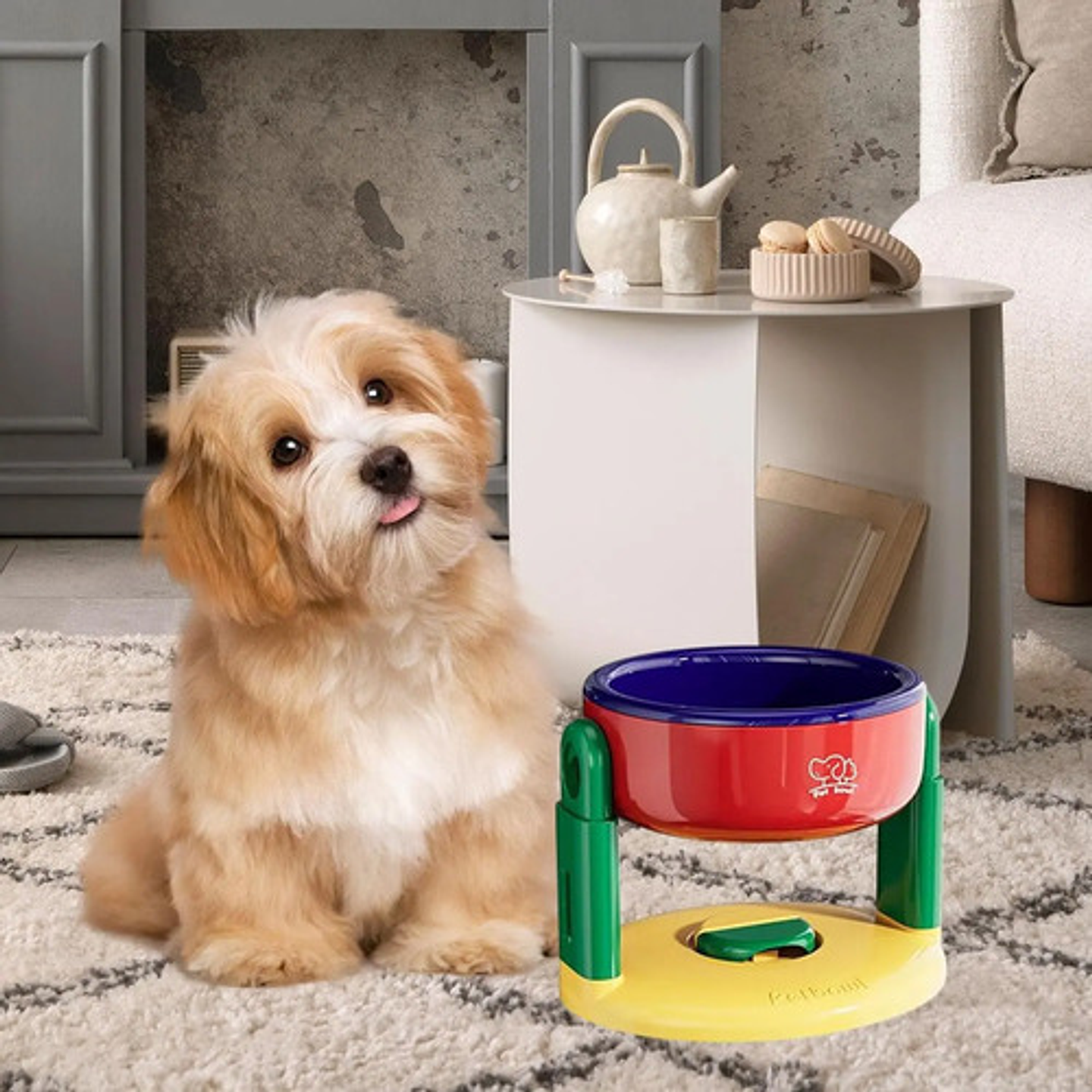 Tazón De Alimentación Antideslizante Ajustable Perros  Gatos 4