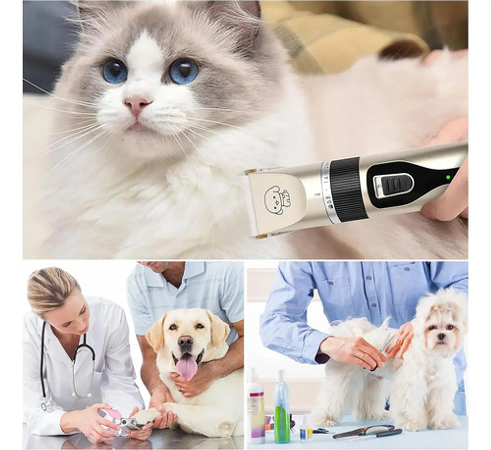 Kit Máquina De Cortar Pelo Mascotas 12 Piezas Silenciosa Dorado 9