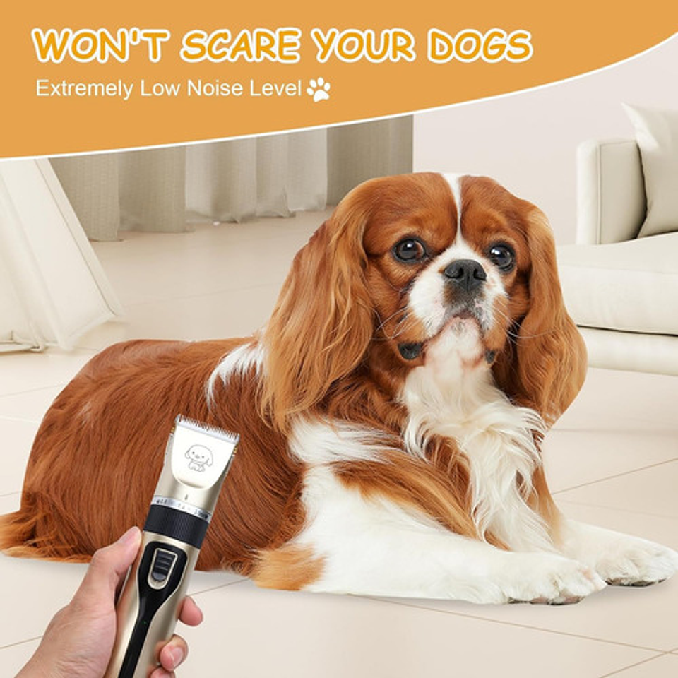 Kit Máquina De Cortar Pelo Mascotas 12 Piezas Silenciosa Dorado 8