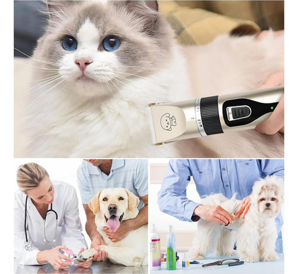 Kit Máquina De Cortar Pelo Mascotas 12 Piezas Silenciosa Dorado 9