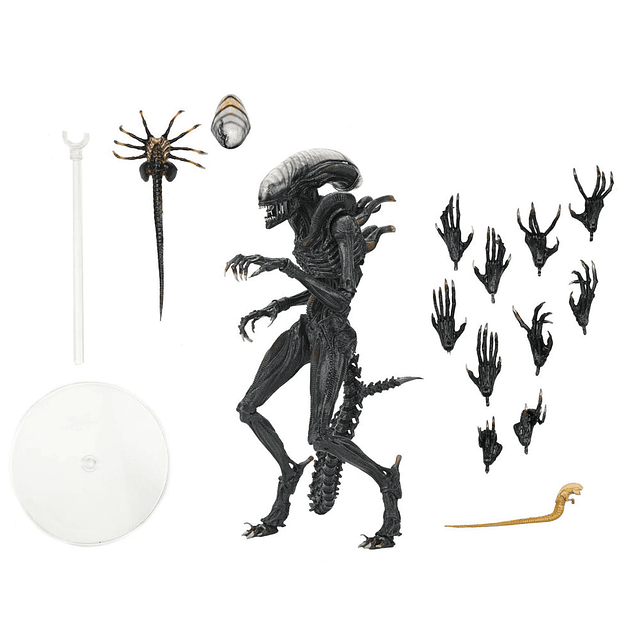 Alien Romulus Scorched Xnomorph Ultimate figure 23cm