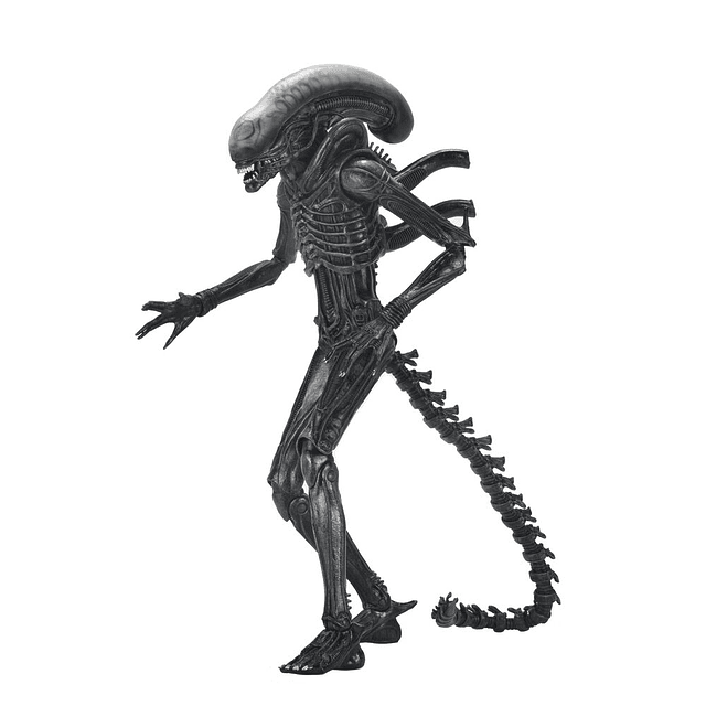 Alien: Romulus Xenomorph Ultimate figure 18cm