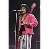The Rolling Stones Mick Jagger Clothed figure 20cm