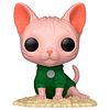 POP figure Pets Sphynx