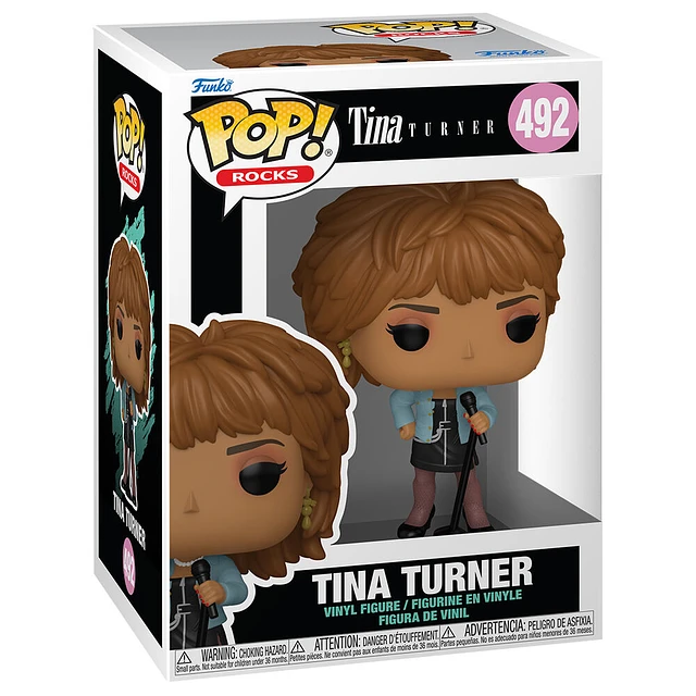 POP figure Tina Turner