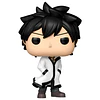 POP figure Fairy Tail 100 Years Quest Gray