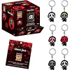 Assorted Pocket POP Keychain Mystery Ghost Face