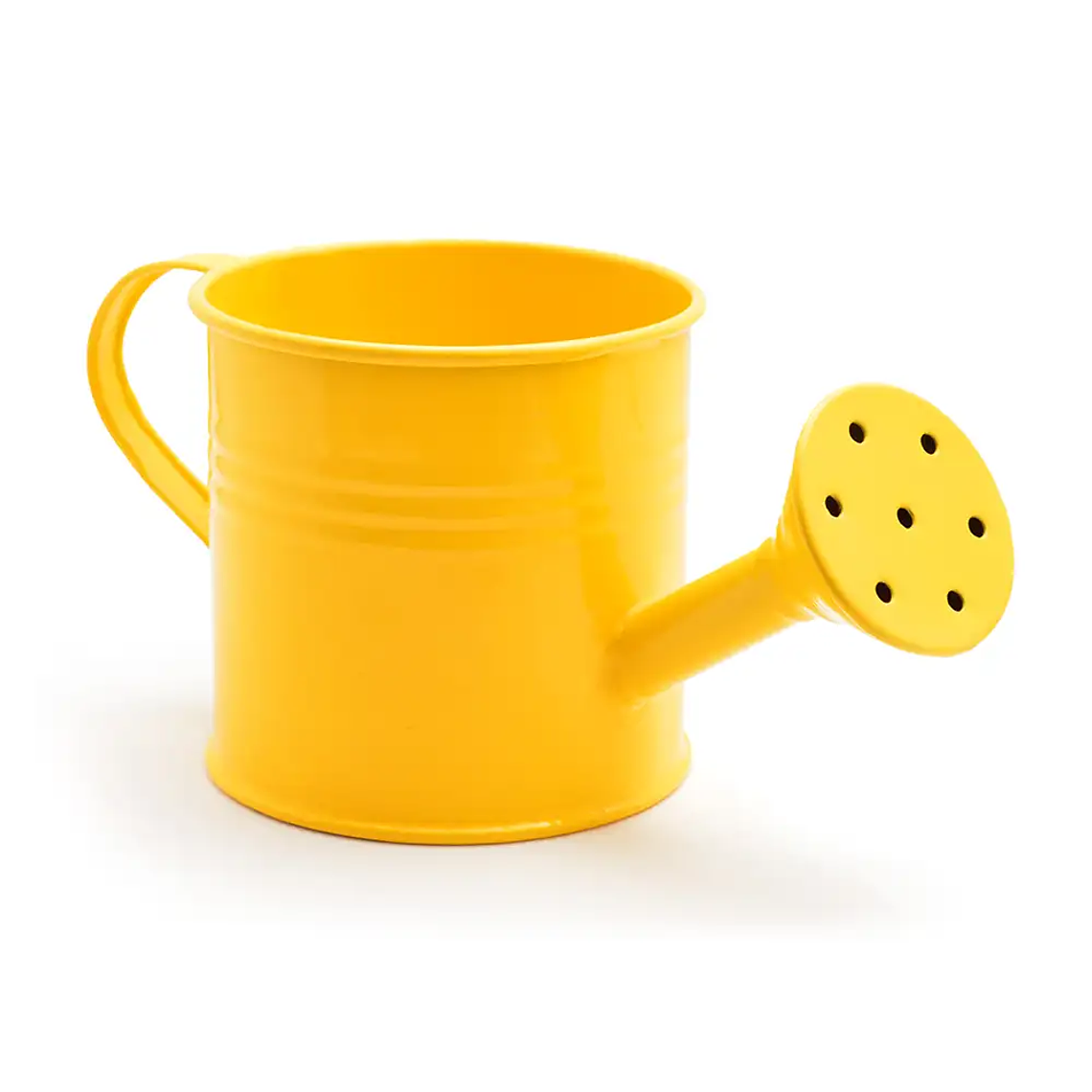 Demo Watering Can 1
