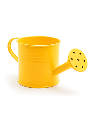 Demo Watering Can
