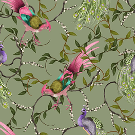 Pheasant, Exotic Birds Pattern