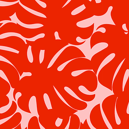 Urban Monstera, contrast Hawaiian leaves on red