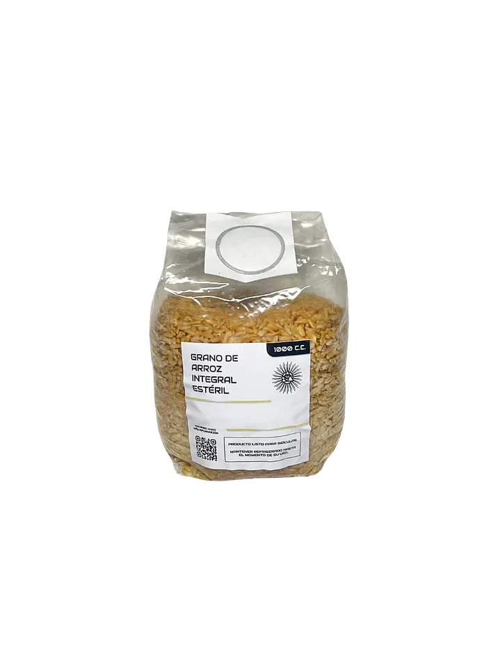 Grano Estéril - Mushbag Autoclavado 1