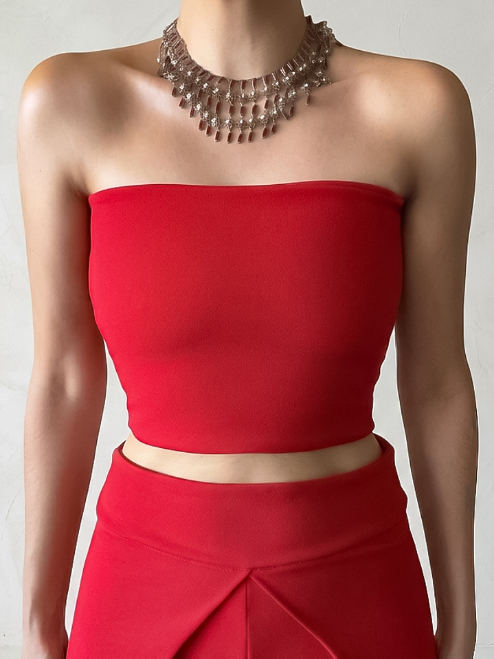 Conjunto Vector Carmin  2