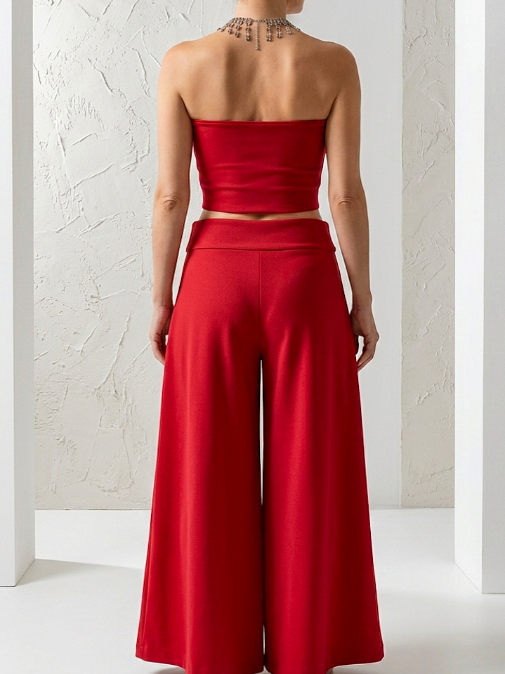 Conjunto Vector Carmin  3