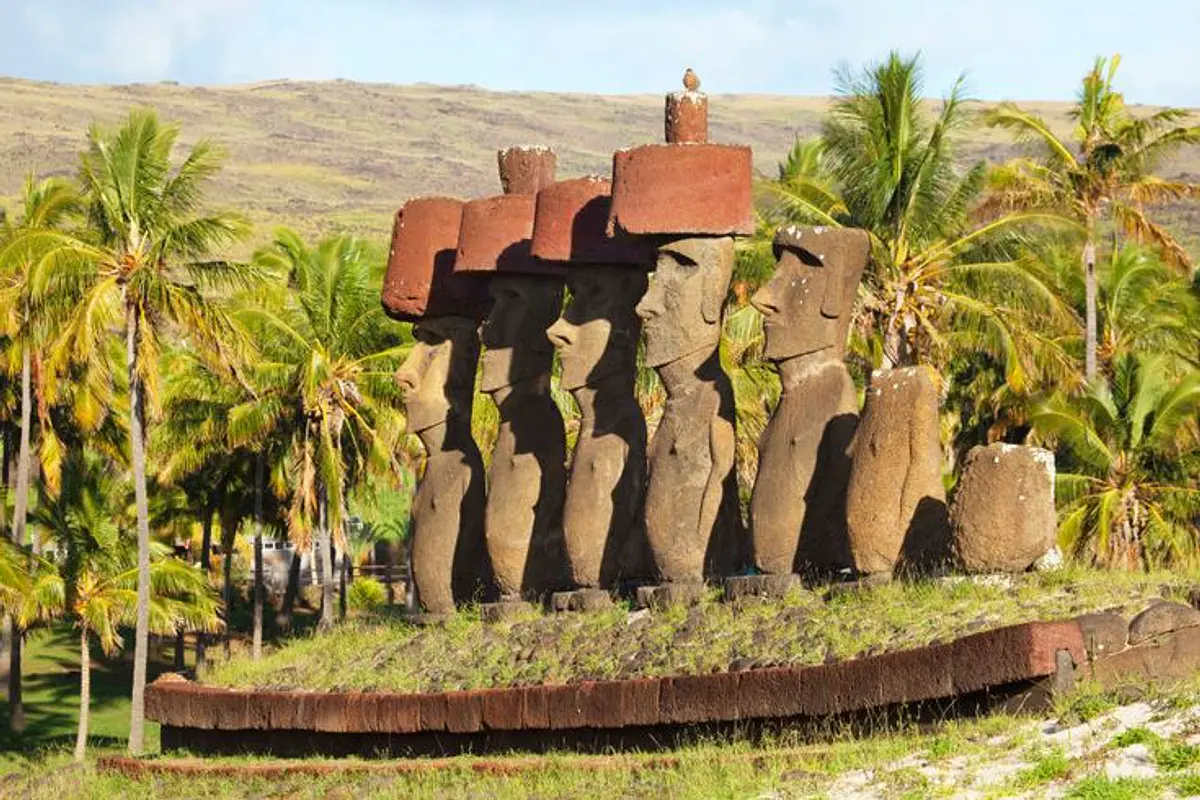 TIAREVAIMOANARAPANUI®