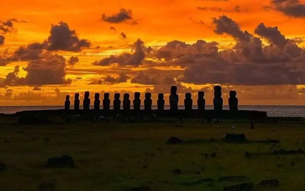 TIAREVAIMOANARAPANUI®