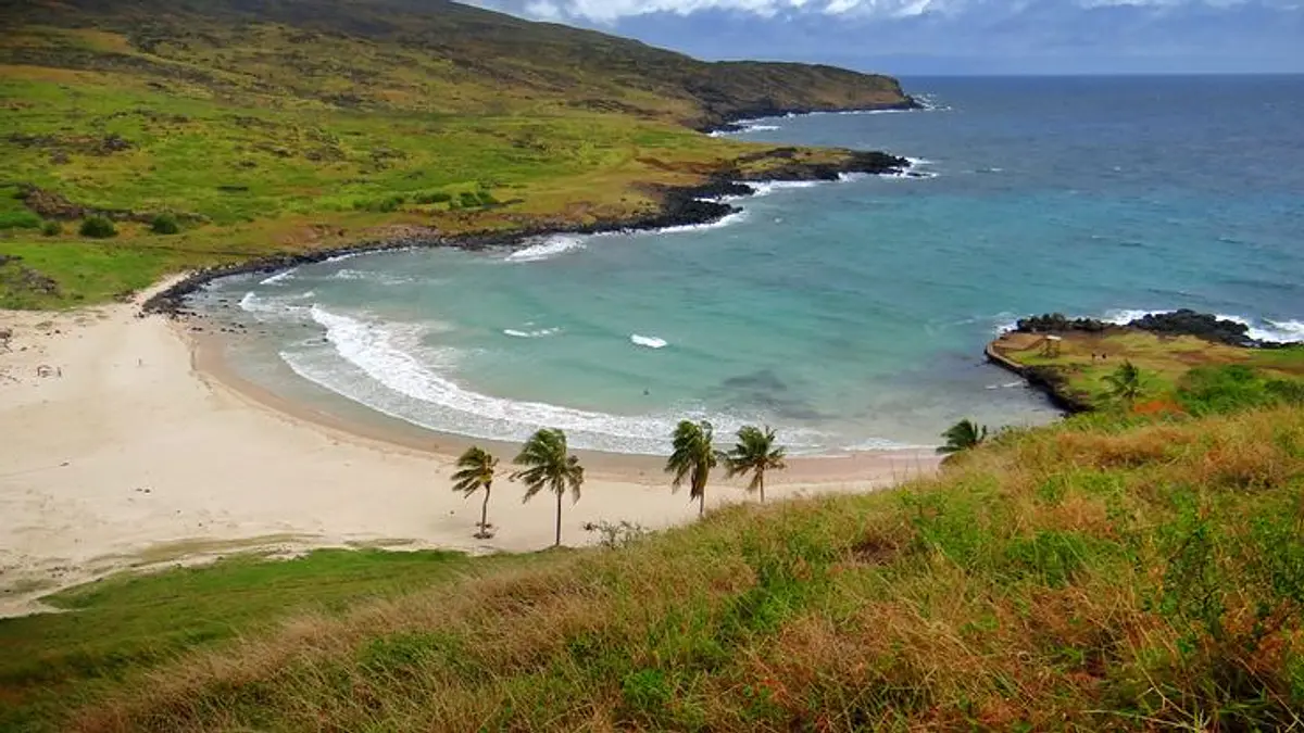 TIAREVAIMOANARAPANUI®