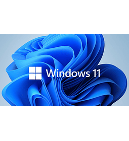 Microsoft OEM Windows 11 Pro 64BITS