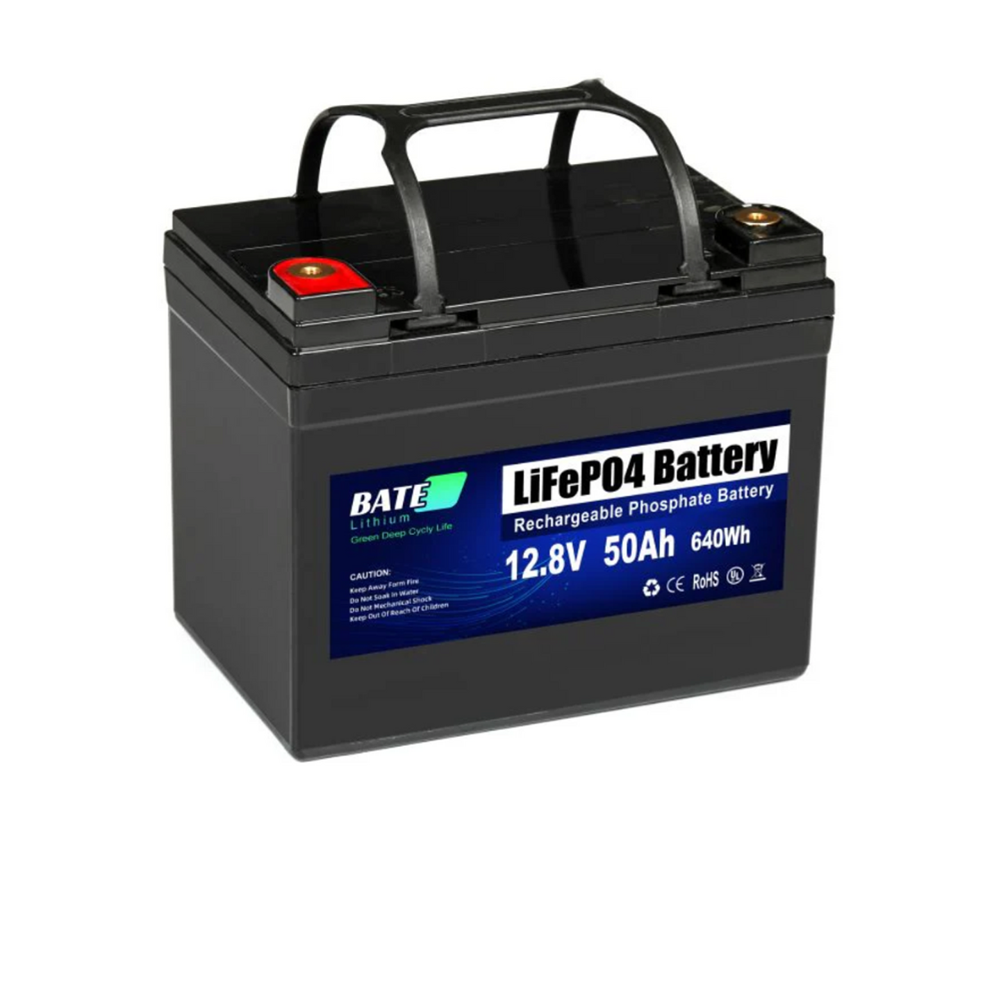 BATE BATERIA DE LITIO LIFEPO4 50AH 24V 1280Wh