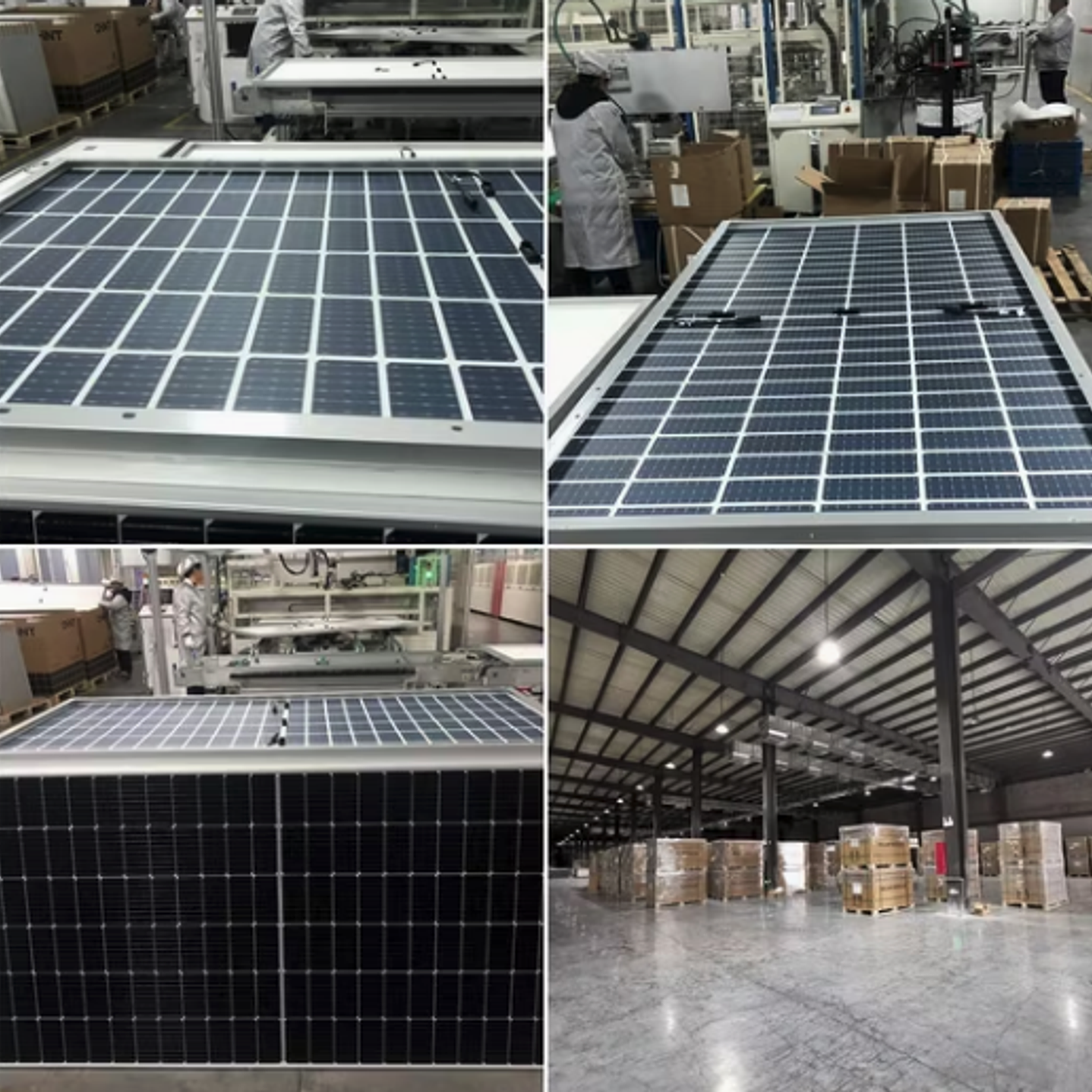 SUNPAL PANEL FOTOVOLTAICO 455W MONOCRISTALINO BIFACIAL DOUBLE GLASS TOPCON 4
