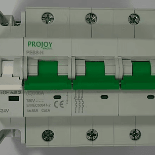 PROJOY INTERRUPTOR AUTOMATICO MCB DC 100A 500V 2P PEBS-H-125