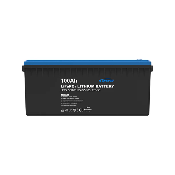 Batería de litio LiFePO4 25,6V 100Ah azul LFP2.56KWH25.6V-P65L2EV50