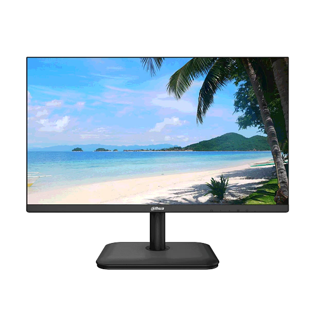 Dahua monitor 22