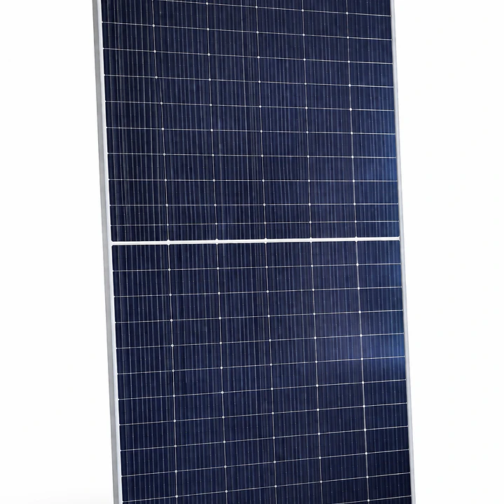 DMEGC PANEL FOTOVOLTAICO 700W MONOCRISTALINO BIFACIAL DOUBLE GLASS 2
