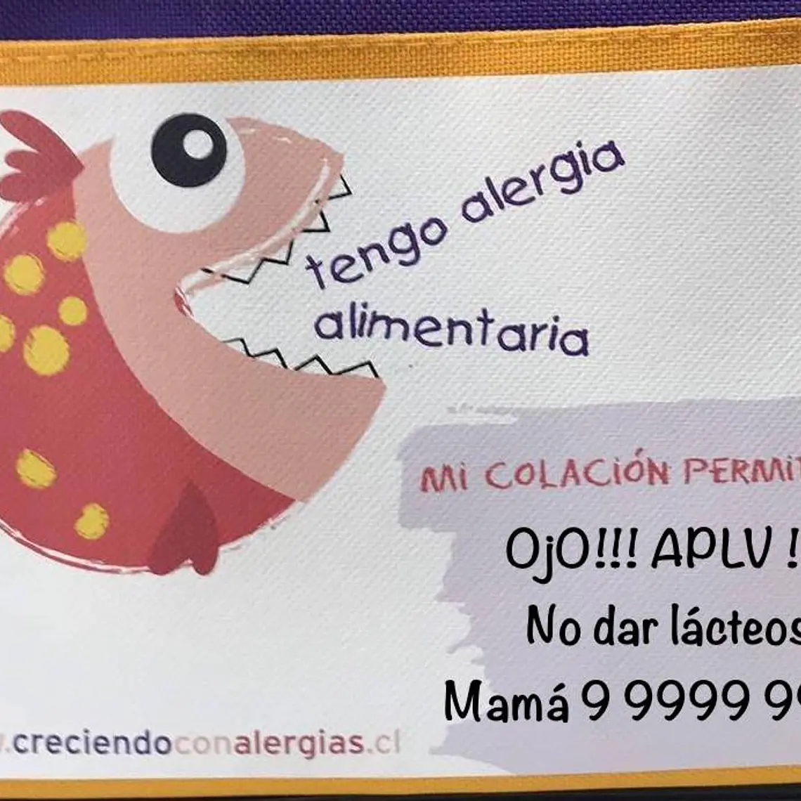 LONCHERA PIRAÑA VERDE 5