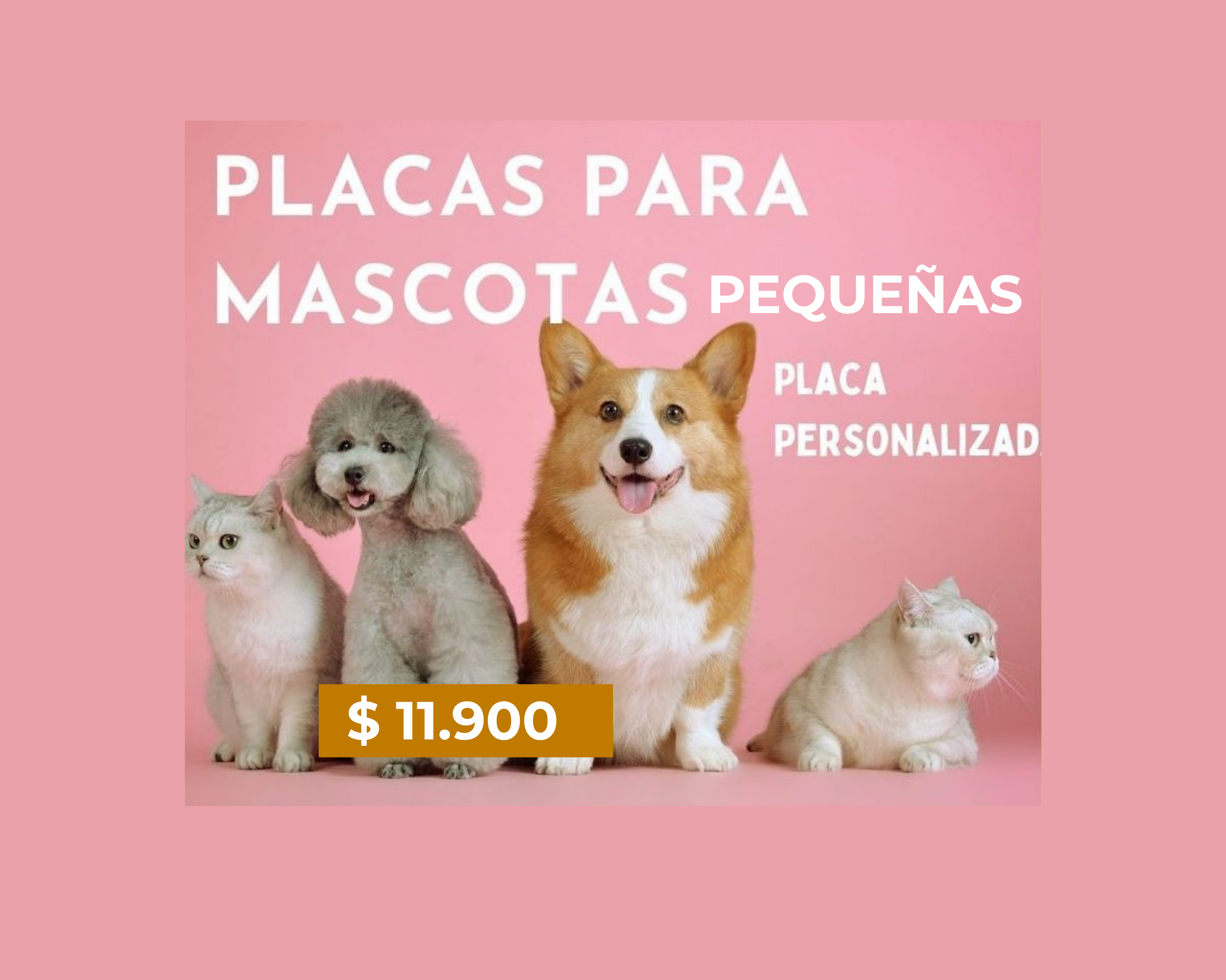 PLACA MASCOTA PEQUEÑA