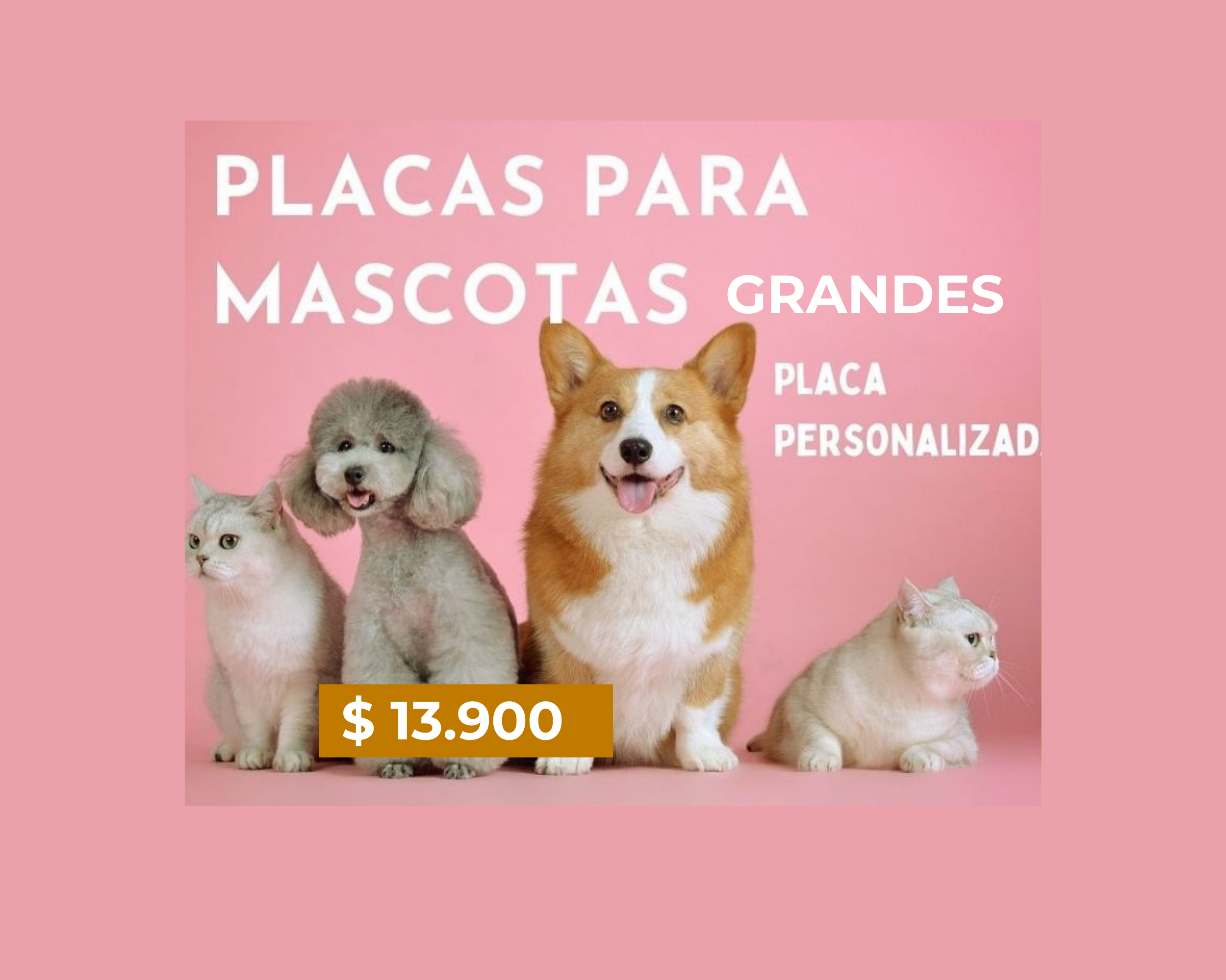 PLACA MASCOTA GRANDE