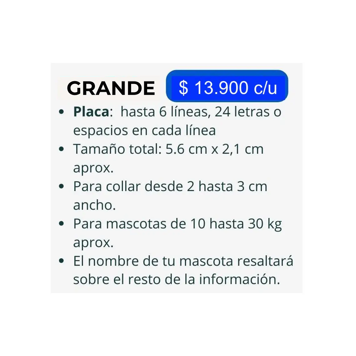 PLACA MASCOTA GRANDE 2