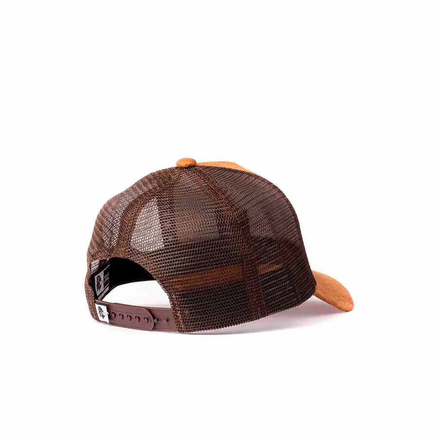 Jockey Zorro Chilote Suede Café 