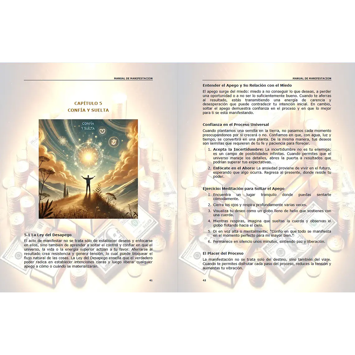 Manual de Manifestación  11