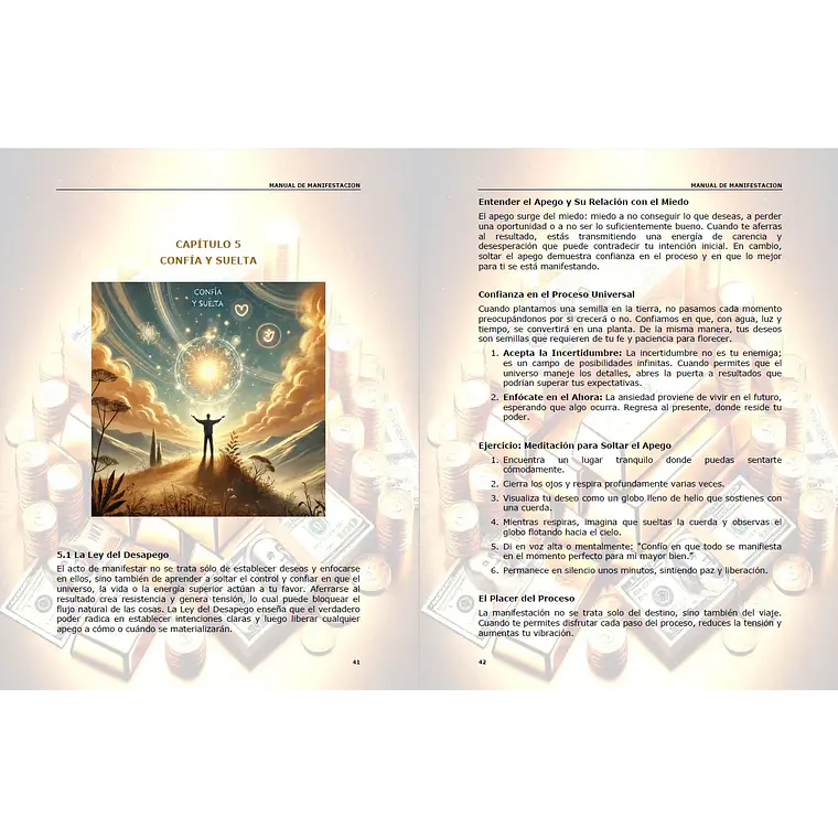 Manual de Manifestación  11