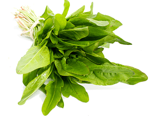 Acedera orgánica certificada 300  g