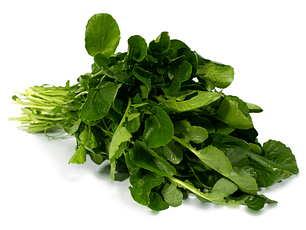 Berros Orgánicos certificada Ecocert