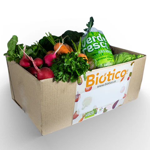 Caja esencial Verde Fresco 100% orgánica