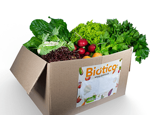 Caja grande Verde Fresco Orgánico 