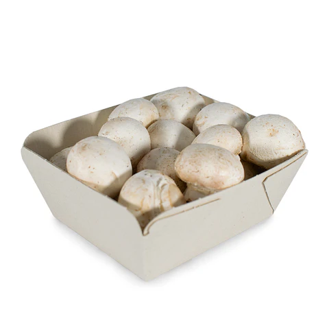 Champiñones orgánicos 250 gr 