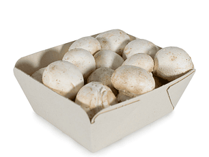 Champiñones orgánicos 250 gr 