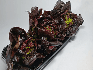 Cogollos de Tudela morados orgánicos x 3