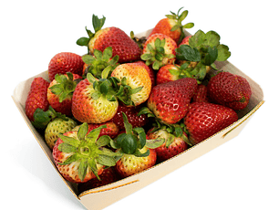 Fresas tipo orgánica. Sólo los martes 500 gr